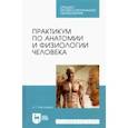 russische bücher: Мустафина Ирина Григорьевна - Практикум по анатомии и физиологии человека. Учебное пособие для СПО