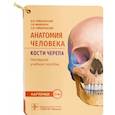 russische bücher: Гайворонский И.В. - Анатомия человека. Кости черепа. 23 карточки