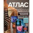 Атлас анатомии человека с дополненной реальностью