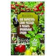 russische bücher: Кизима Г.А. - Как вырастить свою рассаду и разбить правильные грядки