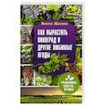 russische bücher: Жвакин В.В. - Как вырастить виноград и другие любимые ягоды. Простые и понятные инструкции для начинающих