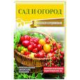 russische bücher: Курдюмов Н.И. - Сад и огород с Николаем Курдюмовым