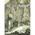 russische bücher: Павлов Артем Владимирович - Остеология. Учебное пособие