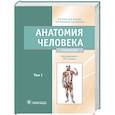 russische bücher: Сапин М.Р. и др. - Анатомия человека: Учебник. В 2 т. Т. 1