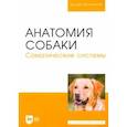 russische bücher: Слесаренко Наталья Анатольевна - Анатомия собаки. Соматические системы. Учебник для вузов