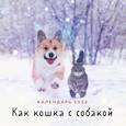 russische bücher:  - Как кошка с собакой. Календарь настенный на 2023 год