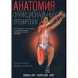 Анатомия функциональных тренировок