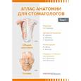 Атлас анатомии для стоматологов. В 2 томах. Том. 1: Общая анатомия. Голова