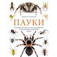 russische bücher: Семенова Л. - Пауки. Познавательная иллюстрированная энциклопедия для всей семьи