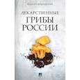 russische bücher: Вишневский М. В. - Лекарственные грибы России