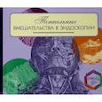 russische bücher: Шишин К.В., Недолужко И.Ю. - Тоннельные вмешательства в эндоскопии