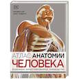 russische bücher: Элис Робертс - Атлас анатомии человека. Подробное иллюстрированное руководство