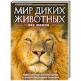 russische bücher: Алексей Осокин - Мир диких животных без мифов. Невероятные фото-истории о жизни хищников саванны