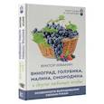 russische bücher: Жвакин В.В. - Виноград, голубика, малина, смородина и другие любимые ягоды. Особенности выращивания своими руками