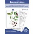 russische bücher: Сергунова Е. В. - Фармакогнозия. Блок 1. 59 карточек. Лекарственные растения и лекарственное растительное сырье