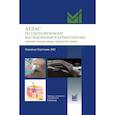 russische bücher: Уортсман К. - Атлас по ультразвуковому исследованию в дерматологии: мягкие ткани, кожа, придатки кожи