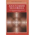 russische bücher: Иваницкий М. - Анатомия человека. Учебник для высших учебных заведений физической культуры