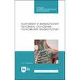 russische bücher: Савушкин Александр Васильевич - Анатомия и физиология человека. Основные положения физиологии. Учебное пособие для СПО