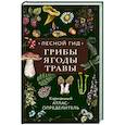 Лесной гид: грибы, ягоды, травы. Карманный атлас-определитель