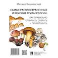 russische bücher: Вишневский М. - Самые распространенные и вкусные грибы России: как правильно отличить, собрать и приготовить