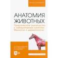 russische bücher: Криштофорова Бесса Владиславовна - Анатомия животных. Практическое руководство к лабораторным занятиям. Миология и дерматология