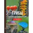 russische bücher: Кашпор Николай Николаевич - Грибы. Большая фотоэнциклопедия