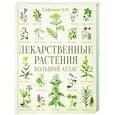 russische bücher: Сафонов Н.Н. - Лекарственные растения. Большой атлас