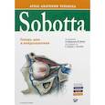 russische bücher: Под ред. Паульсена Ф., Вашке Й. - Sobotta. Атлас анатомии человека. В 3 томах. Том 3. Голова, шея и нейроанатомия