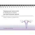 russische bücher: Под ред. Андреевой Е.Н., Шереметьевой Е.В. - Эндокринная гинекология в таблицах и схемах для практикующих врачей