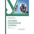 russische bücher: Фалина Е.Ф., Сагун В.А., Смолянникова Н.В. - Анатомия и физиология человека. Учебник