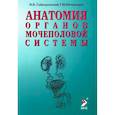 russische bücher: Гайворонский И.В., Ничипорук Г.И. - Анатомия органов мочеполовой системы. Учебное пособие