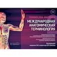 russische bücher: Под ред. Никитюка Д.Б. - Международная анатомическая терминология