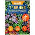 russische bücher: Анищенко Л.В. - Травник. Большая энциклопедия лекарственных растений