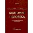 russische bücher: Привес М.Г., Лысенков Н.К., Бушкович В.И. - Анатомия человека: Учебник