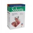 russische bücher: Под ред. Паульсена Ф., Вашке Й. - Sobotta. Атлас анатомии человека. В 3 т (комплект из 3-х книг)
