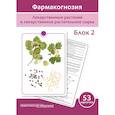 russische bücher: Сергунова Е. В. - Фармакогнозия. Блок 2 (53 карточки). Лекарственные растения и лекарственное растительное сырье. Учебное пособие202