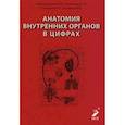 russische bücher: Гайворонский И.В. - Анатомия внутренних органов в цифрах. Учебное пособие