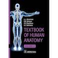 russische bücher: Колесников Л.Л., Никитюк Д.Б., Клочкова С.В. - Textbook of Human Anatomy. In 3 vol. Vol. 3. Nervous system. Esthesiology: на англ.яз