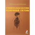 russische bücher: Гайворонский И.В., Ничипорук Г.И. - Функциональная анатомия эндокринной системы: Учебное пособие. 10-е издание
