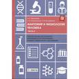 russische bücher: Олсуфьева А.В., Соколовская Л.Н., Оруджова А.Н. - Анатомия и физиология человека: рабочая тетрадь. Часть 2