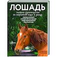 russische bücher: Иванова М.В. - Лошадь. Полное руководство по верховой езде и уходу