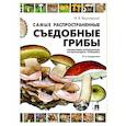 russische bücher: Вишневский М. - Самые распространенные съедобные грибы. Справочник-определитель начинающего грибника