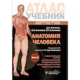 russische bücher: Никитюк Д.Б., Клочкова С.В., Алексеева Н.Т.; Под р - Анатомия человека. Атлас. Учебное пособие: в 3-х томах. Том 2