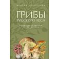 russische bücher: Сергеева М.Н. - Грибы русского леса. Иллюстрированный определитель