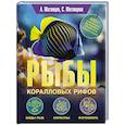 russische bücher: Матанцев А.Н., Матанцева С.Г. - Рыбы коралловых рифов