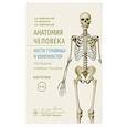 russische bücher: Гайворонский И.В., Ничипорук Г.И., Гайворонский А. И. - Анатомия человека. Кости туловища и конечностей. Карточки: Наглядное учебное пособие