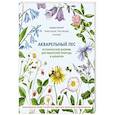 russische bücher: Чистякова А. - Акварельный лес. Ботанический дневник для любителей природы и акварели