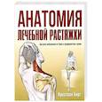 Анатомия лечебной растяжки. Быстрое избавление от боли и профилактика травм