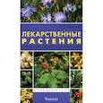 russische bücher: Ефремов А. - Лекарственные растения средней полосы России. Определитель