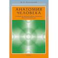 russische bücher: Иваницкий М. - Анатомия человека. Учебник для высших учебных заведений физической культуры